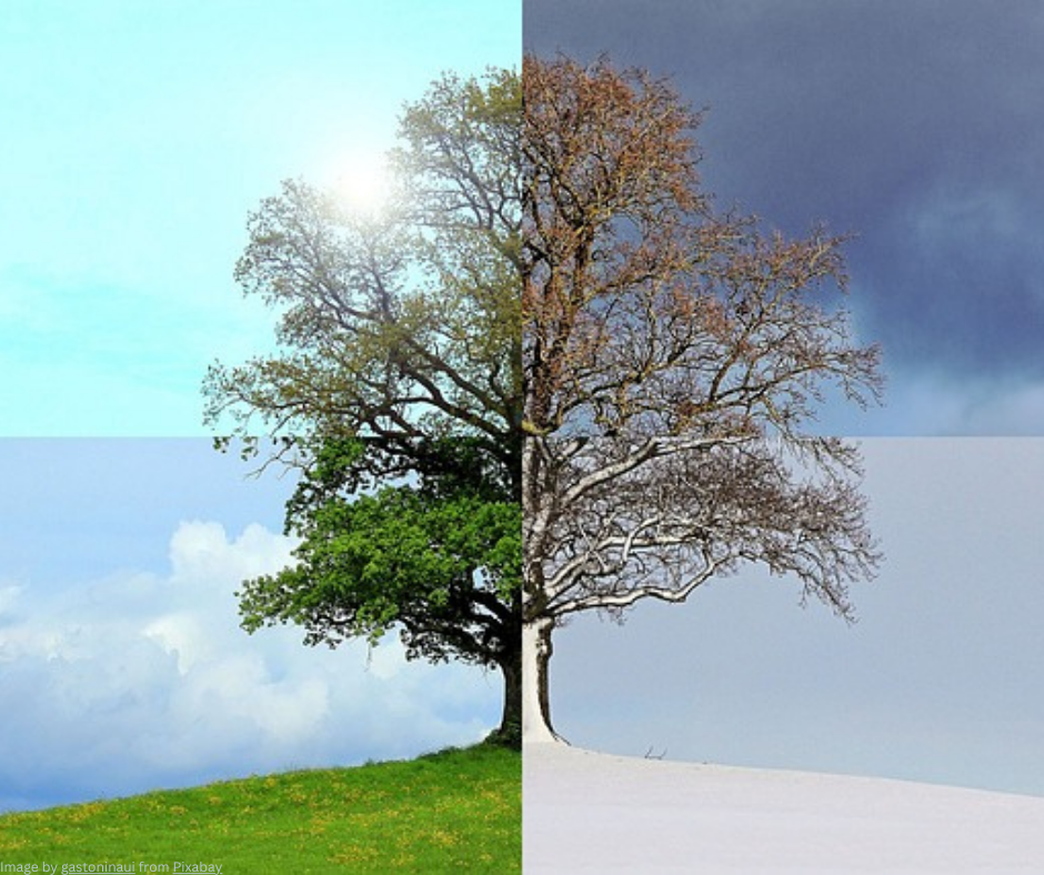 Environment and Health:  How Nature’s Rhythms Mirror Spiritual Growth